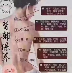 -香薇妮丝·定制减肥·身材管理