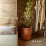 享受自由烂漫  无限接近和拥抱大自然[调皮]