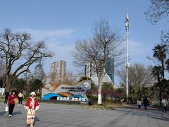 -沙市市中山公园