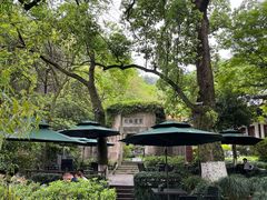 -十八棵（老龙井）御茶园(老龙井店)