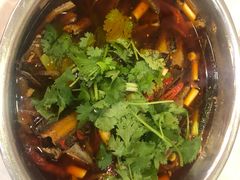 -高坎一品甲鱼庄(两河店)