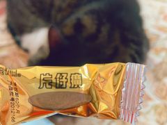 -利群海琴购物广场(商丘路店)