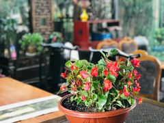 -漫渡庄绿岛花园•隐世庭园菜(滨湖店)