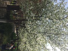 iphone_upload_pic-西安青龙寺遗址景区
