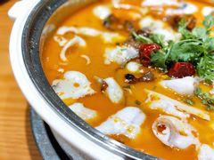 肥肠鱼-龙梅肥肠鱼(明瓦廊店)