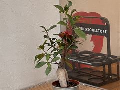 -NaturalFlow自然福乐面包店