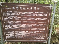 -海南热带雨林国家公园吊罗山景区