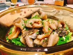 香葱焗石斑鱼-尚一汤·粤菜海鲜(环球港店)