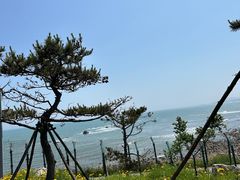 -青岛金沙滩