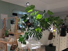 -一尺花园(安和花园店)