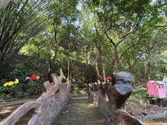 -南丹山森林王国