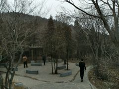 -水池山公园