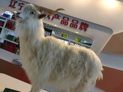 -沈阳国际会展中心管理有限公司