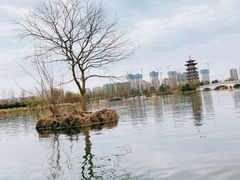 -洋湖国家湿地公园