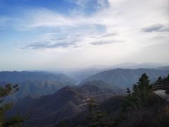 -牛背梁国家森林公园