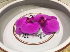 -旺顺阁海鲜广场(亚运村店)
