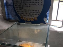-左海海底世界