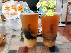 -沏佰杯(金元宝店)