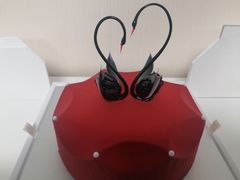-BLACKSWAN黑天鹅(环球店)