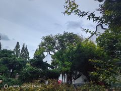-龙华寺