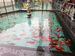 -陕西科学技术馆