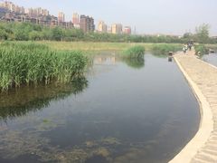 -前关湿地公园