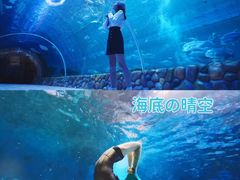 -华夏文旅西安度假区