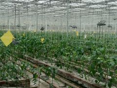-长春农业博览园