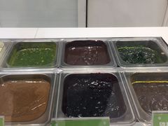 -Salud撒露欧洲冻酸奶(蓝色港湾店)