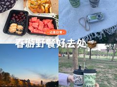 -泰丰公园