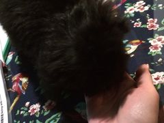 iphone_upload_pic-赢吧Bliss音乐酒吧