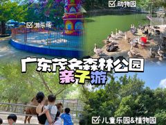 -广东茂名森林公园