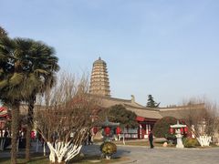 -法门文化景区