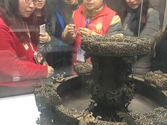 热情讲解的志愿者-湖北省博物馆