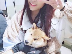 -逗柴咖啡屋·狗咖猫咖宠物桌游