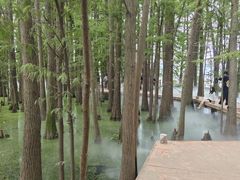 -东湖落雁景区