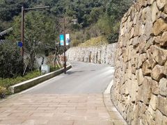 -杭州半山国家森林公园