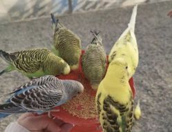 -萌宠亲子动物乐园(槐房万达店)