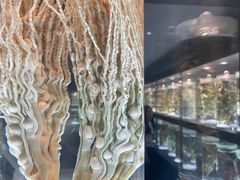 -广东中医药博物馆