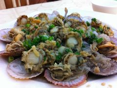 扇贝-海岛渔村大酒店(云霄路店)