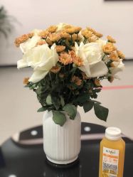 -联合丽格·张菡丽格医疗美容