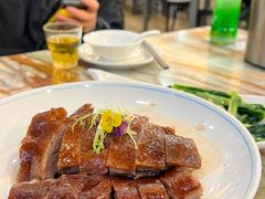 -椿记烧鹅(叠彩店)