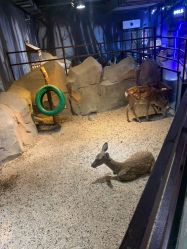 -酷嗒动物文化乐园(cutezoo西溪乐天城店)