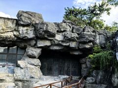 -上海吴淞炮台湾国家湿地公园