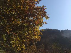 -北京上方山国家森林公园