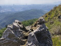 -长虫山生态公园风景林
