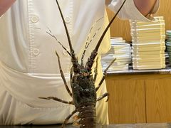 -松临·铁板烧&Omakase(神农店)