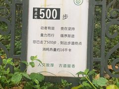 -南山植物园