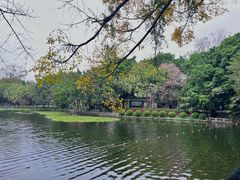 -荔湾湖公园