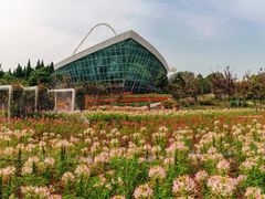 -石家庄市植物园